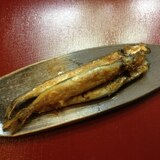 フライパンで簡単♪焼きししゃも